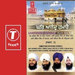 Ghar Anand Hamarei (Part 2) - Sant Surinder Singh Ji-Mithtawana Amritsar Song Download